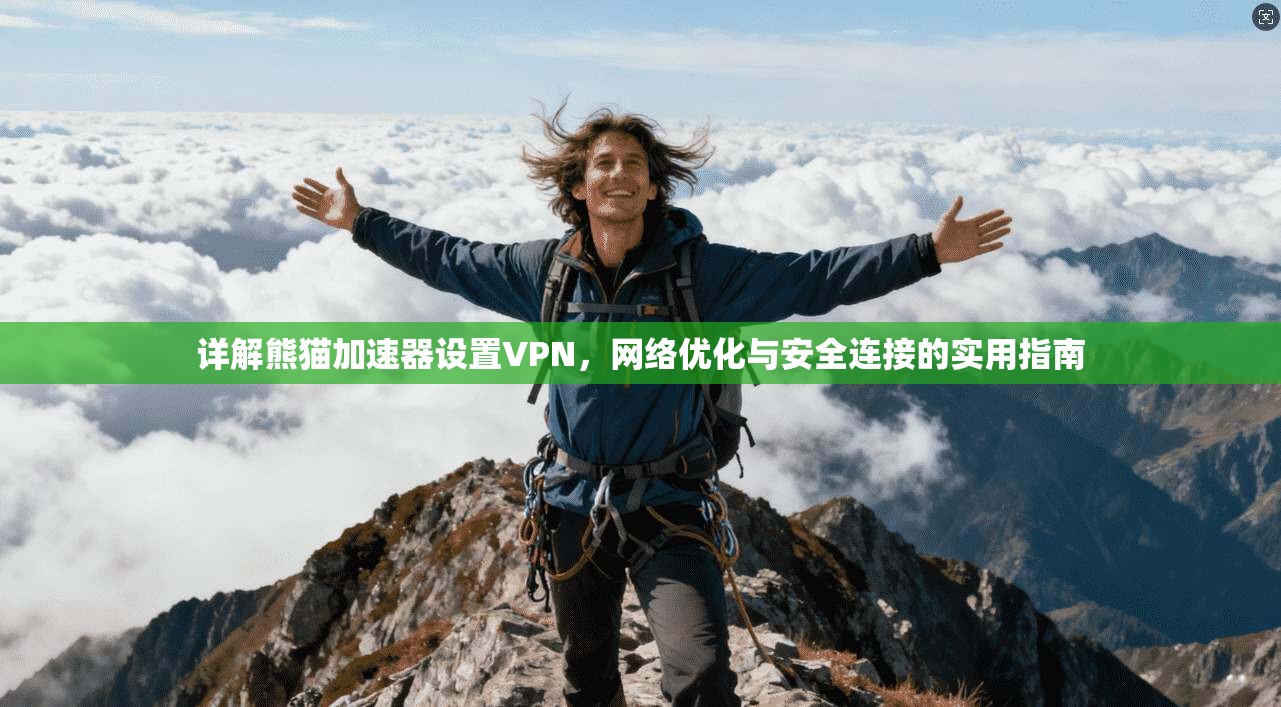 详解熊猫加速器设置VPN,网络优化与安全连接的实用指南 详解熊猫加速器设置VPN,网络优化与安全连接的实用指南