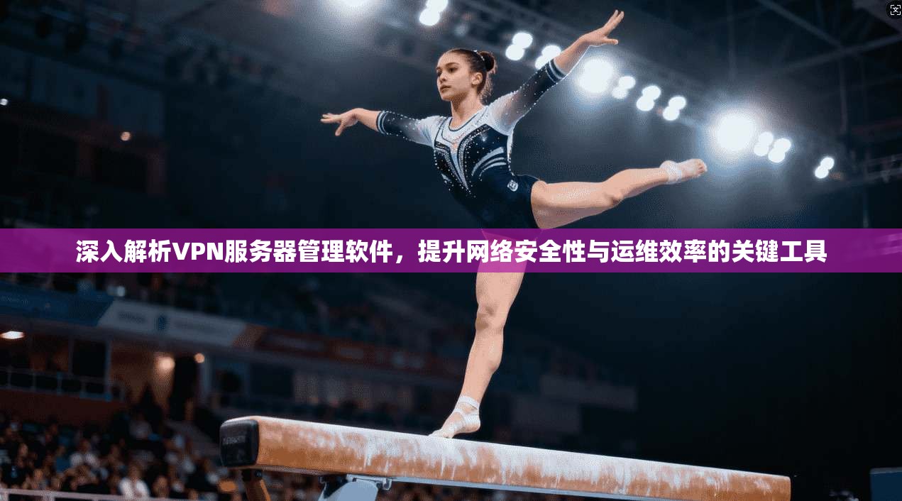 深入解析VPN服务器管理软件，提升网络安全性与运维效率的关键工具