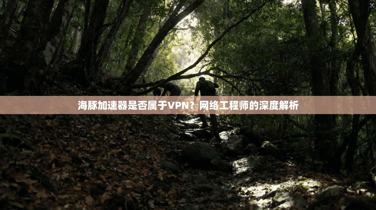 海豚加速器是否属于VPN？网络工程师的深度解析