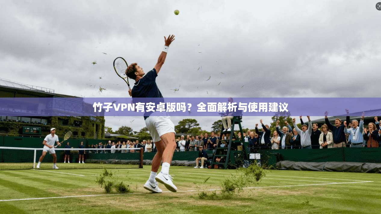 竹子VPN有安卓版吗？全面解析与使用建议
