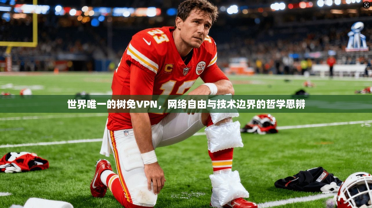 世界唯一的树免VPN,网络自由与技术边界的哲学思辨 世界唯一的树免VPN,网络自由与技术边界的哲学思辨