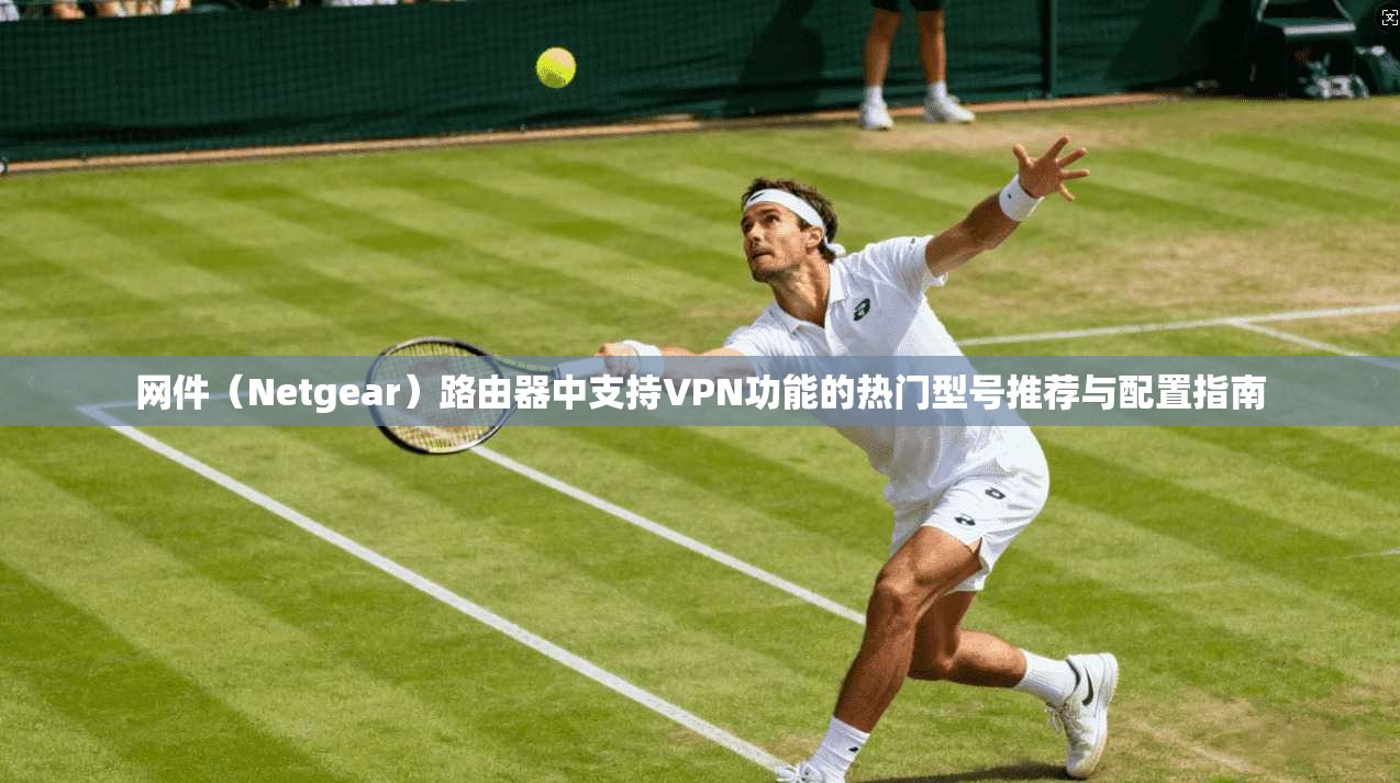 网件(Netgear)路由器中支持VPN功能的热门型号推荐与配置指南 网件(Netgear)路由器中支持VPN功能的热门型号推荐与配置指南