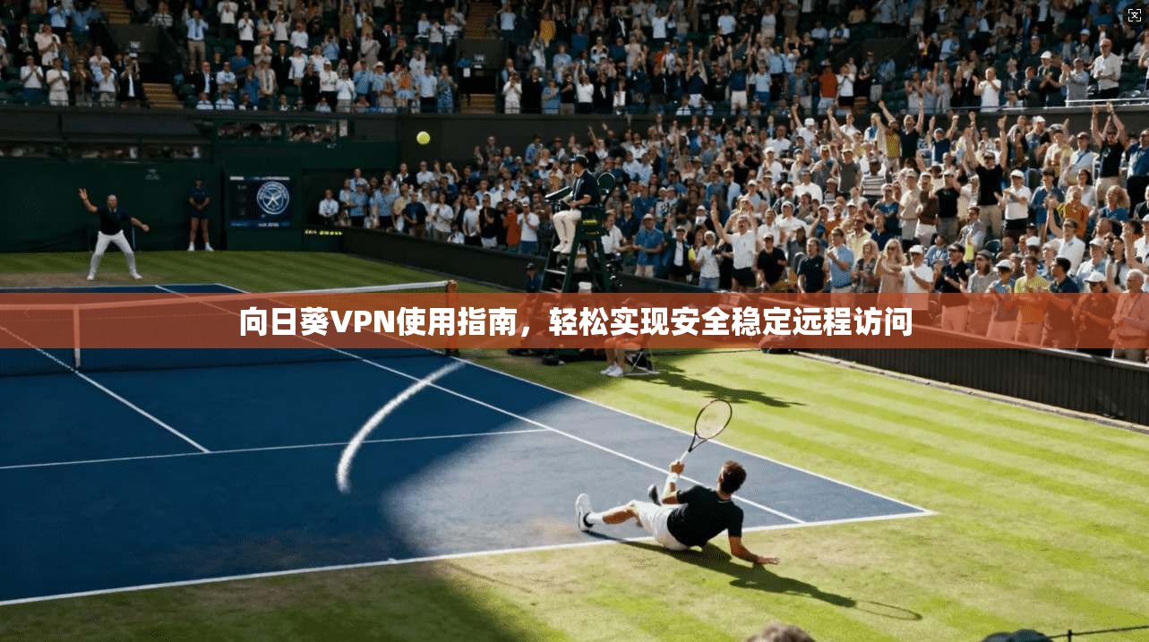 向日葵VPN使用指南，轻松实现安全稳定远程访问