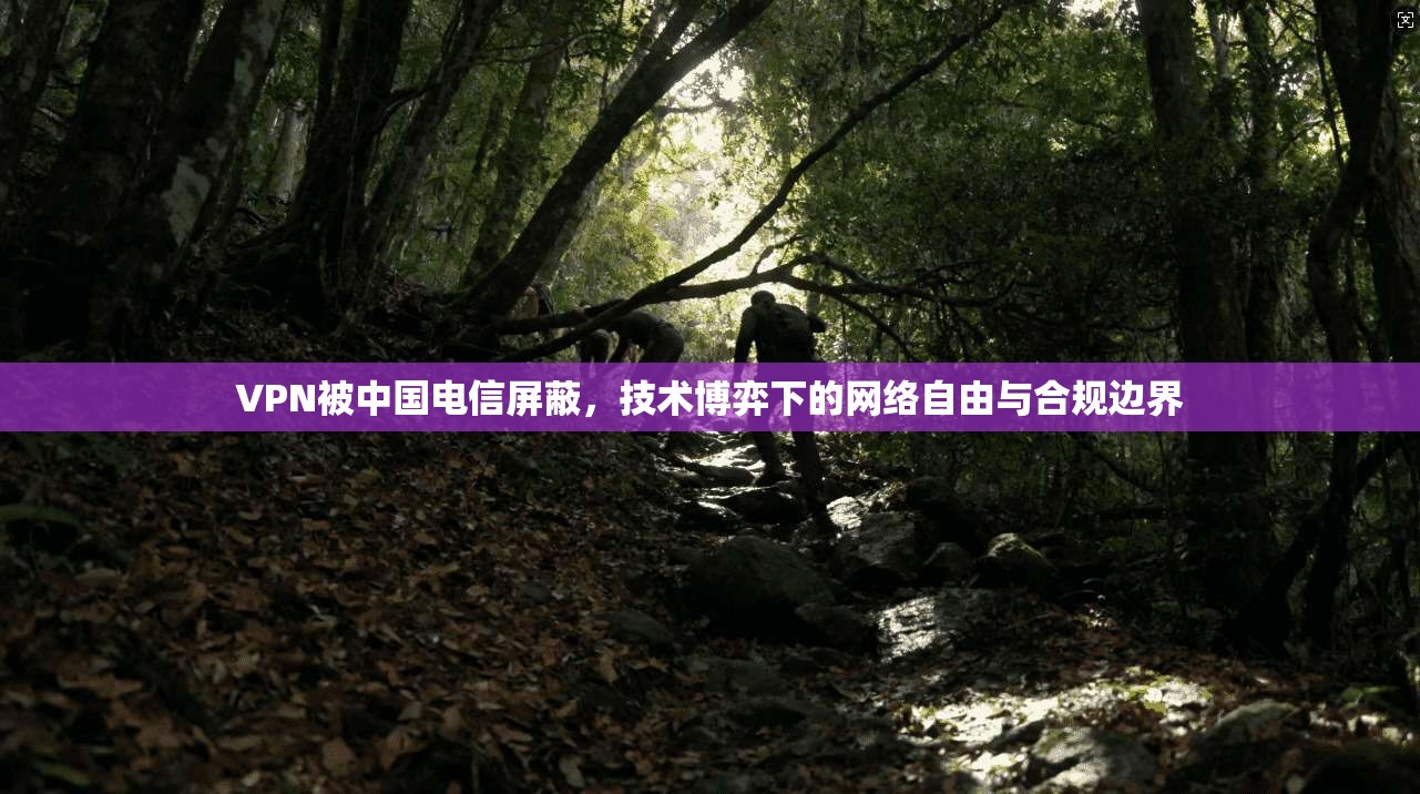 VPN被中国电信屏蔽,技术博弈下的网络自由与合规边界 VPN被中国电信屏蔽,技术博弈下的网络自由与合规边界