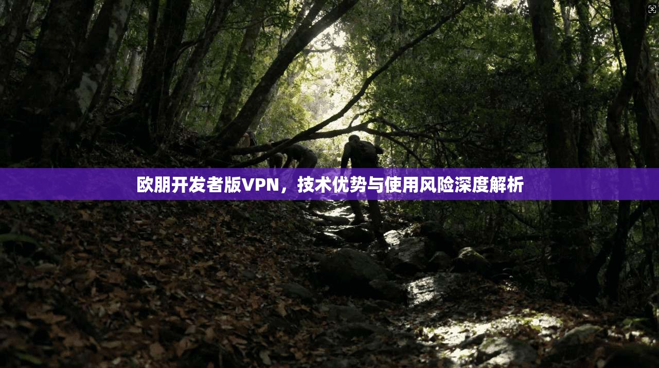 欧朋开发者版VPN，技术优势与使用风险深度解析